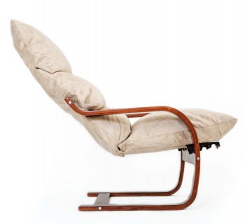 Кресло Онега в Искитиме - iskitim.mebel54.com | фото