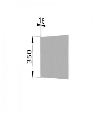 Панель торцевая (для шкафа горизонтального) ПГ Гарда (Белый) в Искитиме - iskitim.mebel54.com | фото
