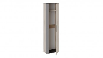 Шкаф для одежды «Нуар» тип 1 Фон серый/Дуб сонома в Искитиме - iskitim.mebel54.com | фото