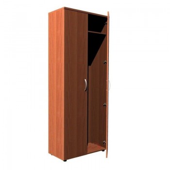 Шкаф для одежды ШФ 202 в Искитиме - iskitim.mebel54.com | фото