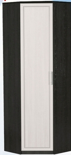 Шкаф для одежды угловой ДЛЯ ГОСТИНОЙ ШОУ-695 Венге/Дуб выбеленный в Искитиме - iskitim.mebel54.com | фото